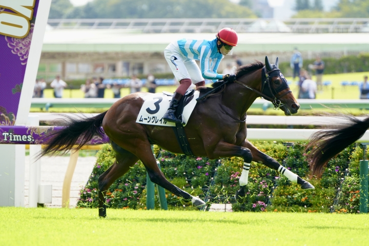 2025/10/5 2歳未勝利 ムーングレイル