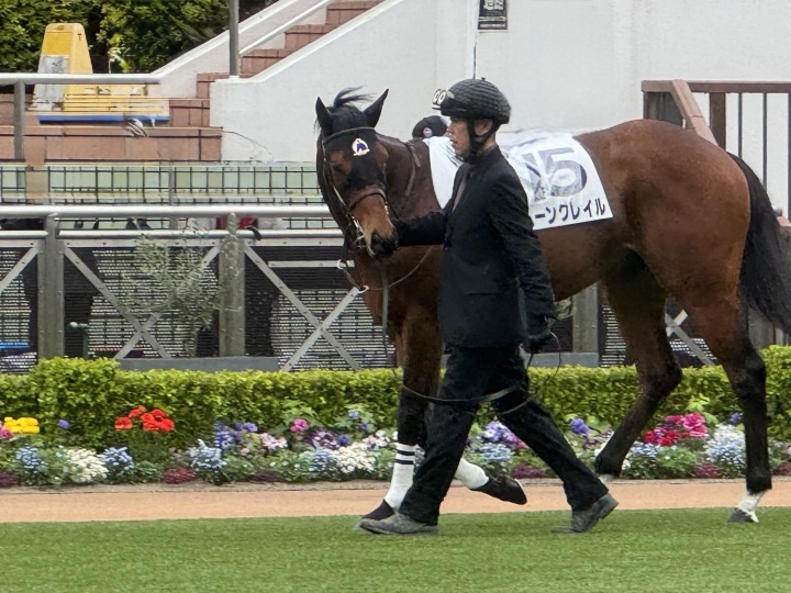 2026/4/4 中山　３歳未勝利 ムーングレイル