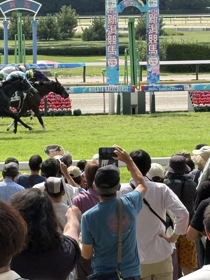 2025/8/24 2歳未勝利 ムーングレイル
