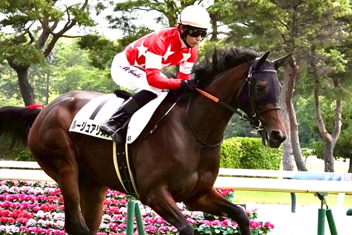 2025/8/17 2歳新馬 ルージュアリスタ