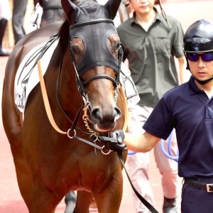 2025/8/17 2歳新馬