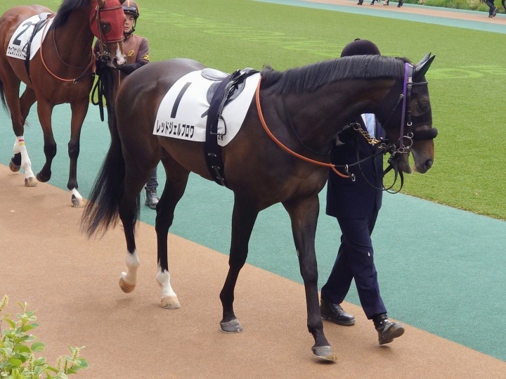 2026年4月 レッドジェルブロワ