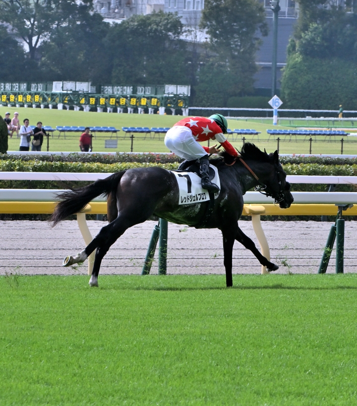 2025/10/5 2歳未勝利 レッドジェルブロワ