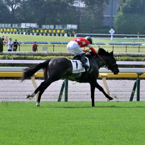 2025/10/5 2歳未勝利