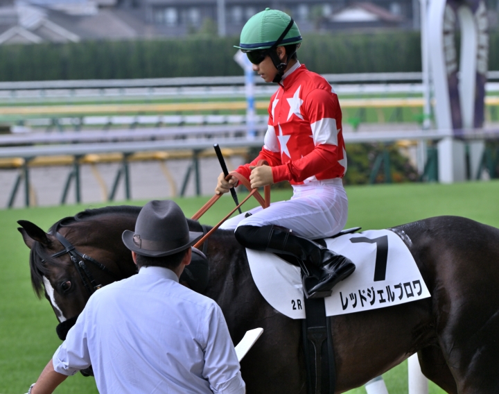 2025/10/5 2歳未勝利 レッドジェルブロワ