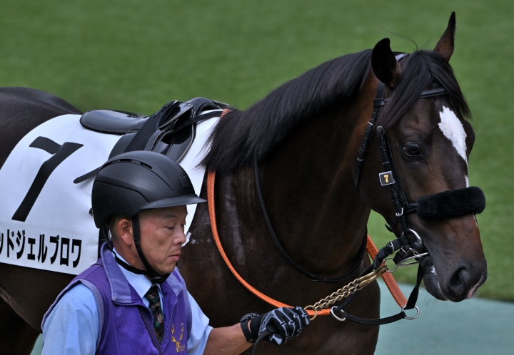 2025/10/5 2歳未勝利 レッドジェルブロワ