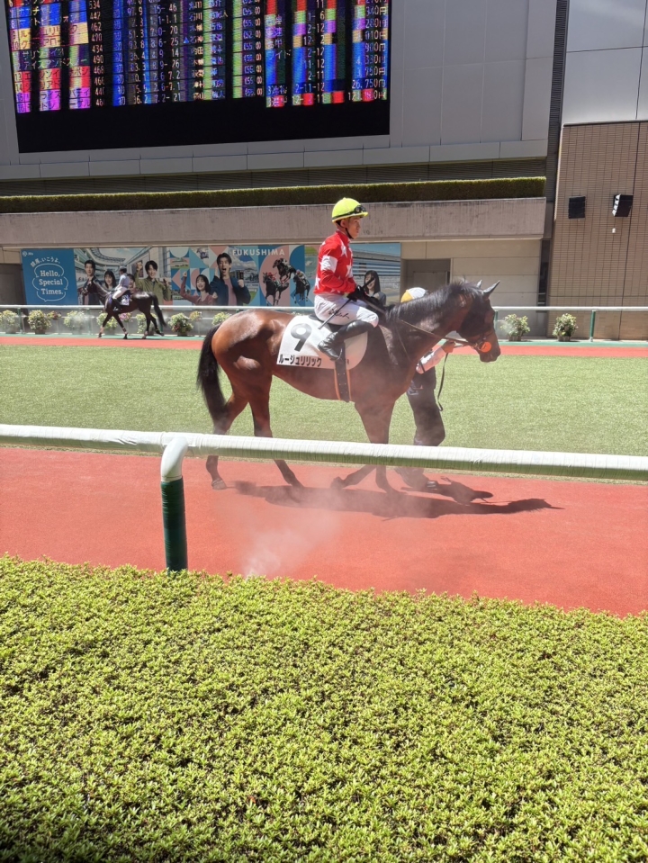2025/7/19 2歳新馬 ルージュリリック