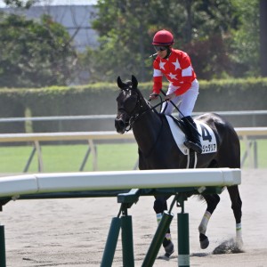 2025/08/24 2歳新馬(牝) レース後