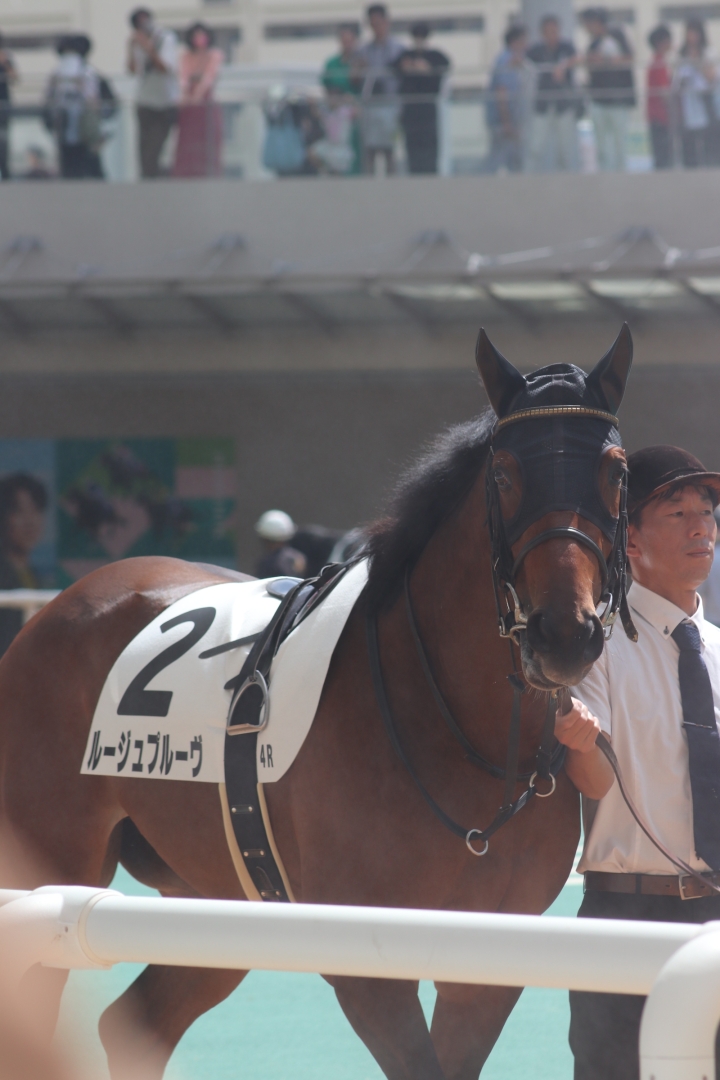2025/09/27 2歳新馬戦 ルージュプルーヴ