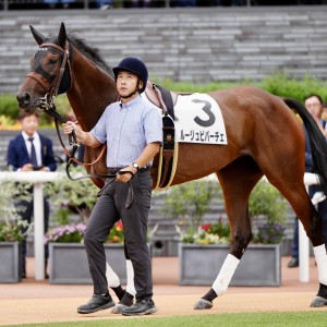 2025/10/11 2歳新馬(牝)