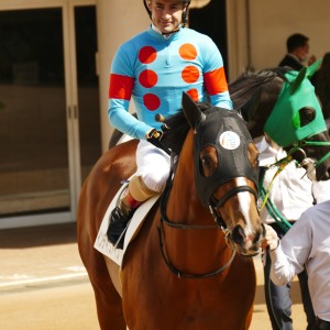 2026/2/28 3歳未勝利