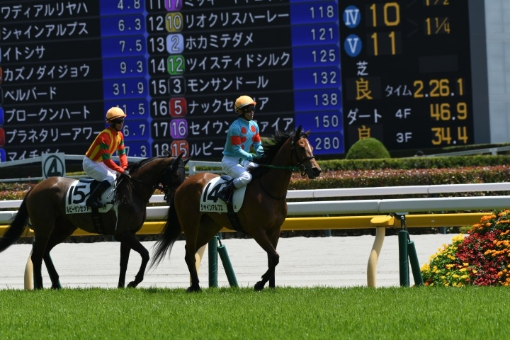 本馬場入場　 シャインアルプス