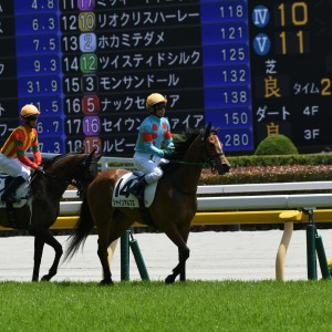 本馬場入場　
