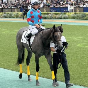 2025/10/12 2歳未勝利