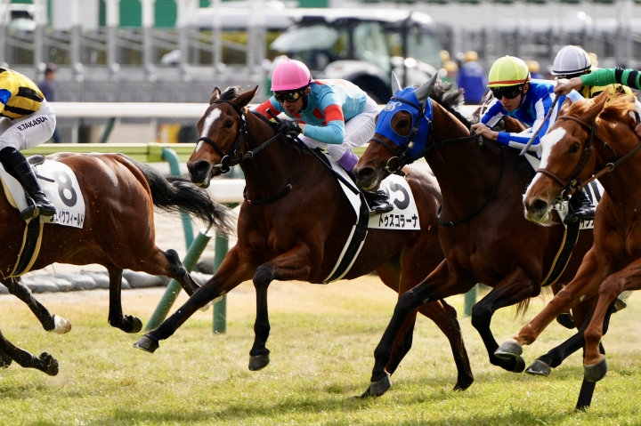 2025/11/24 2歳新馬 トゥスコラーナ