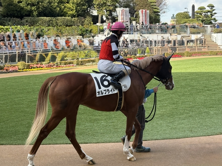 初の中山 オルブライト