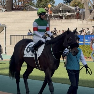 2025/11/29 2歳未勝利