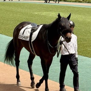 東京6R 1勝クラス ダ1600 パドック①