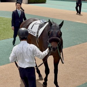 東京6R 1勝クラス ダ1600 パドック②