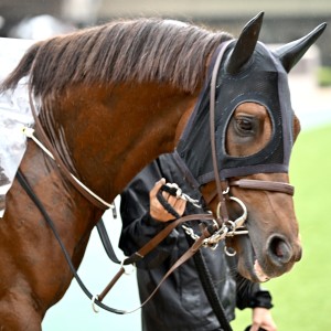 メイクデビュー東京