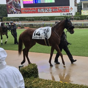 2025/12/14 2歳未勝利