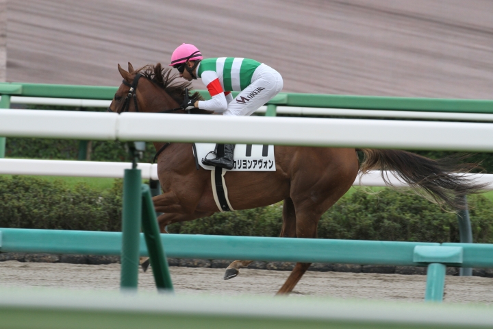 返し馬 カリヨンアヴォン