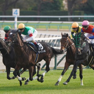 2025/12/6 葉牡丹賞(1勝クラス)