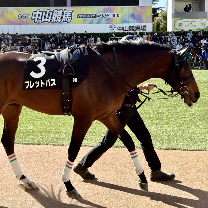 中山9R 水仙賞 1勝クラス 芝2200 ブレットパス