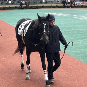 2025/12/13 2歳新馬