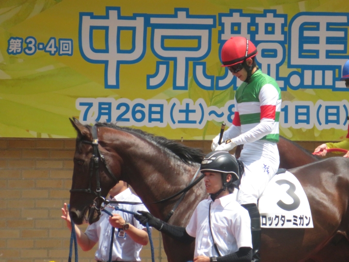 パドック３ ロックターミガン