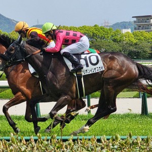 デビュー戦　
