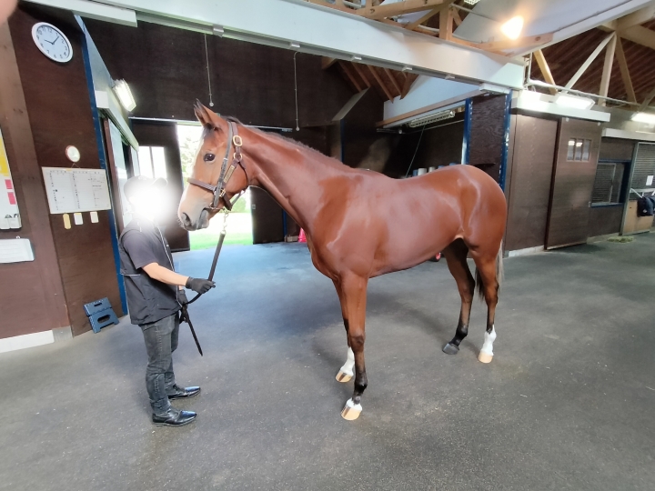 追分ファームリリーバレーにて リーピングサイン