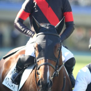 2025/11/24 2歳新馬