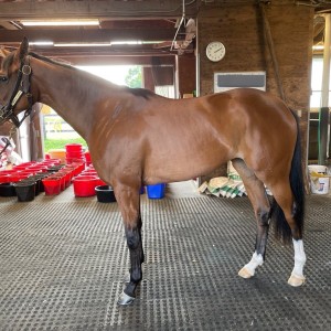 20日・山元トレセン