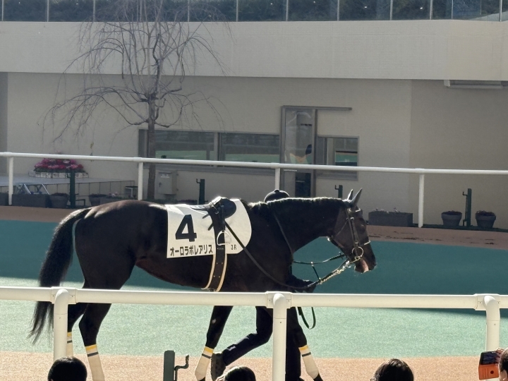 2025年12月 オーロラボレアリス