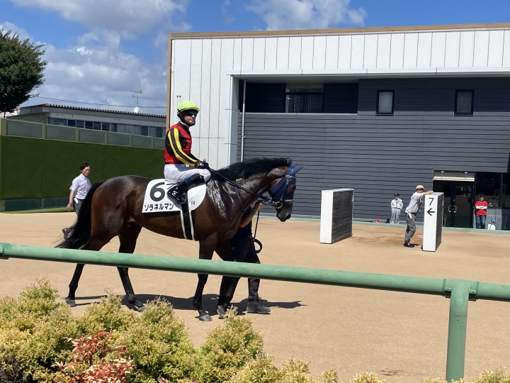 新馬戦馬場入り前 ソラネルマン