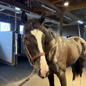 NF空港（2025年4月）