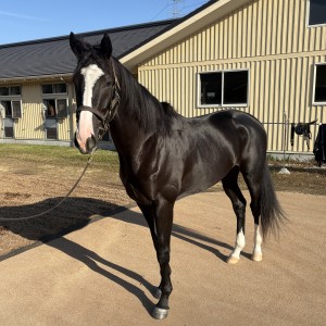 NFしがらき（2025年11月）