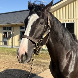 NFしがらき（2025年11月）