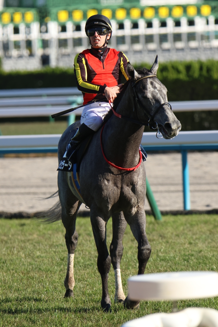 2025/11/16 黄菊賞(1勝クラス) ノチェセラーダ