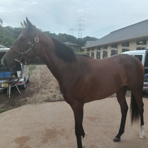 NFしがらきにて