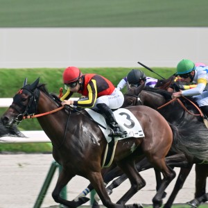 2025.9.28_阪神未勝利戦レース