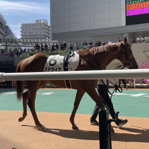 2026/4/12 3歳未勝利(牝)