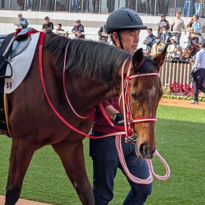 京都5R メイクデビュー