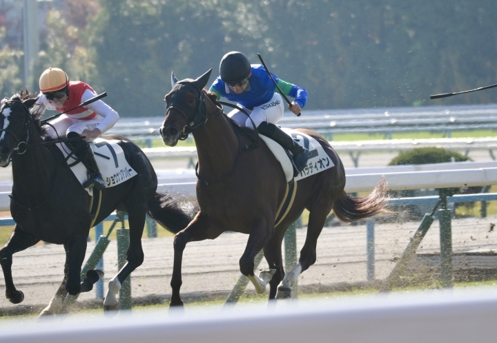 新馬戦 パラディオン