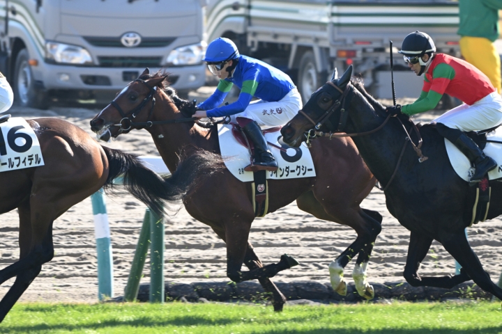 2025/12/7 2歳未勝利 ワインダークシー
