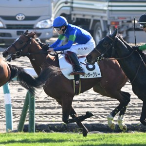 2025/12/7 2歳未勝利