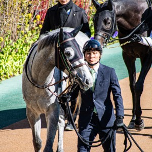 東京5レース 新馬戦