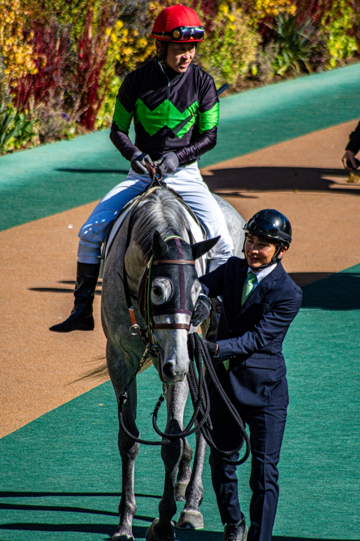 東京5レース 新馬戦 シェリーシュシュ