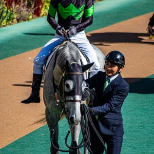 東京5レース 新馬戦